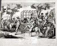 Plate VIII